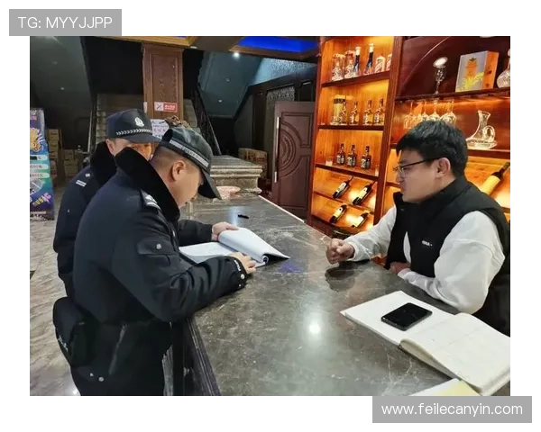 公安机关管理娱乐场所的职责划分及其在社会治理中的作用