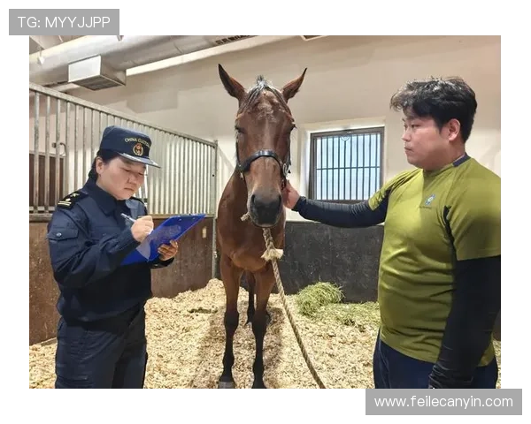 赛马会地址平台最新官方入口地址全面介绍帮助玩家快速找到正规投注渠道